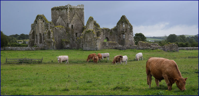 Hore Abbey