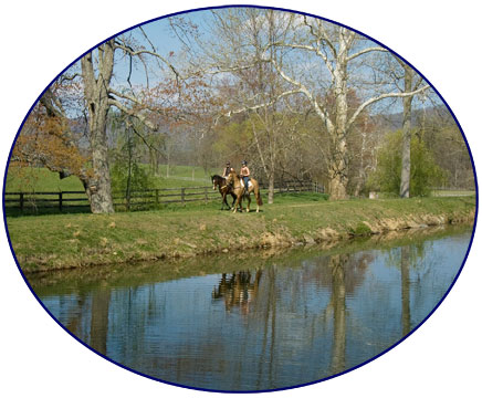 Find out all the latest news about whats happening at Olympic rider Phyllis Dawson's farm, Windchase.  Event horses for sale, boarding, training, working students, breeding to Brandenburg's Windstar.  