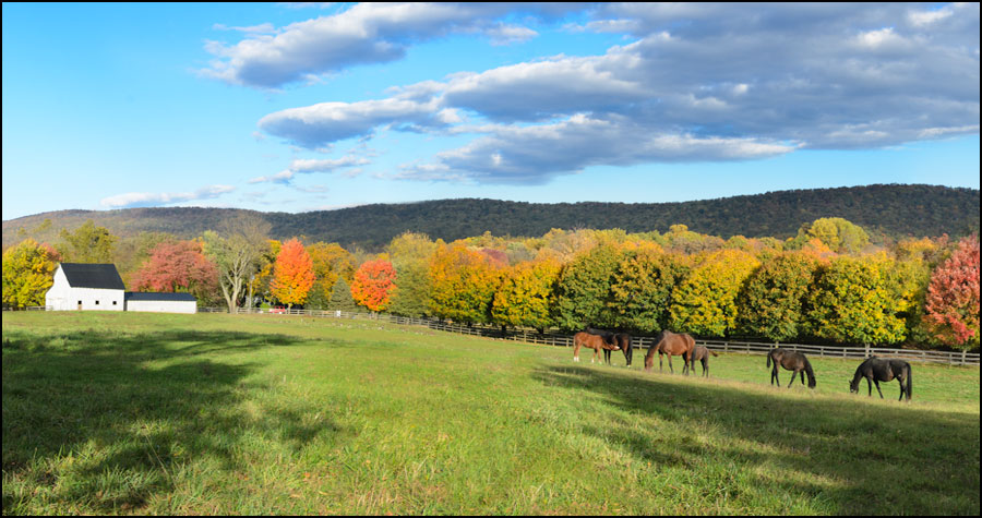 horse stables northern virginia