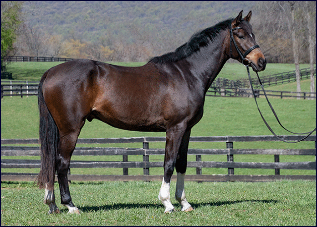 Taproot Acme